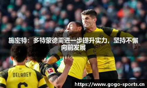 浩瀚体育官方网站