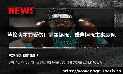 黄蜂队主力受伤！前景堪忧，球迷担忧未来表现