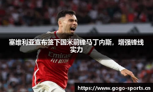 塞维利亚宣布签下国米前锋马丁内斯，增强锋线实力