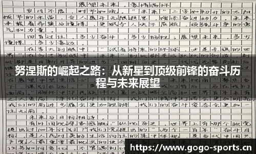 努涅斯的崛起之路：从新星到顶级前锋的奋斗历程与未来展望